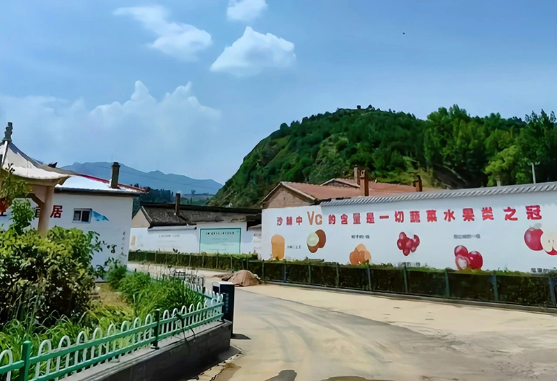 山西岚县:探索农文旅融合发展新路径 开发建设乡村旅游重点村
